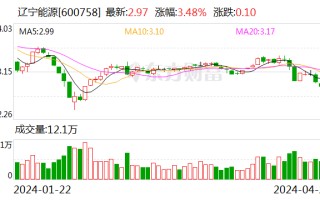 辽宁能源：2024 年第一季度净利润 8253.38 万元 同比下降 71.25%