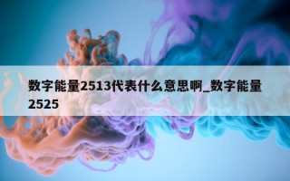 数字能量 2513 代表什么意思啊_数字能量 2525