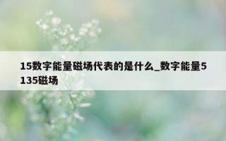 15 数字能量磁场代表的是什么_数字能量 5135 磁场