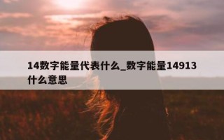 14 数字能量代表什么_数字能量 14913 什么意思