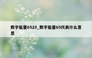 数字能量 6525_数字能量 65 代表什么意思