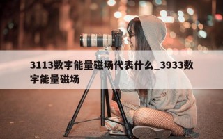 3113 数字能量磁场代表什么_3933 数字能量磁场