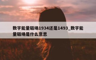 数字能量磁场 1934 还是 1493_数字能量磁场是什么意思