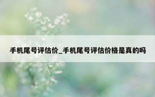 手机尾号评估价_手机尾号评估价格是真的吗