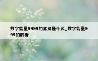 数字能量 9999 的含义是什么_数字能量 999 的解析