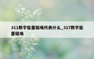 311 数字能量磁场代表什么_317 数字能量磁场