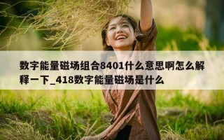 数字能量磁场组合 8401 什么意思啊怎么解释一下_418 数字能量磁场是什么