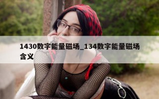 1430 数字能量磁场_134 数字能量磁场含义