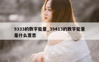 9333 的数字能量_39413 的数字能量是什么意思