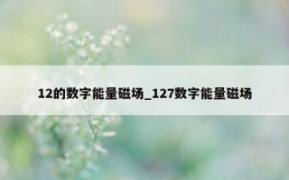 12 的数字能量磁场_127 数字能量磁场