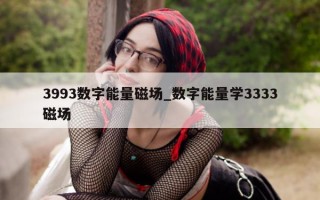 3993 数字能量磁场_数字能量学 3333 磁场