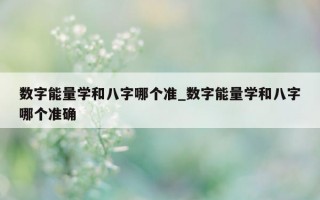 数字能量学和八字哪个准_数字能量学和八字哪个准确