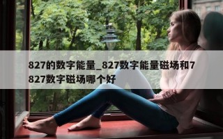 827 的数字能量_827 数字能量磁场和 7827 数字磁场哪个好