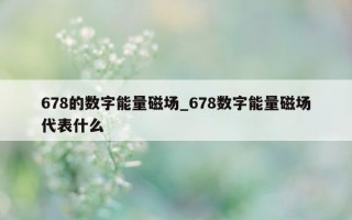 678 的数字能量磁场_678 数字能量磁场代表什么