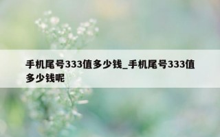 手机尾号 333 值多少钱_手机尾号 333 值多少钱呢