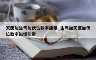 天医加生气加伏位数字能量_生气加天医加伏位数字磁场能量