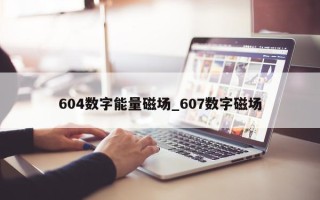 604 数字能量磁场_607 数字磁场