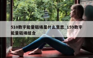 510 数字能量磁场是什么意思_159 数字能量磁场组合