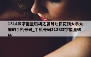 1314 数字能量磁场之容易让你花钱大手大脚的手机号码_手机号码 1133 数字能量磁场