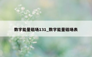 数字能量磁场 131_数字能量磁场表