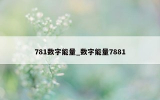 781 数字能量_数字能量 7881