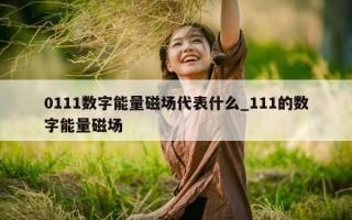 0111 数字能量磁场代表什么_111 的数字能量磁场