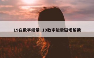 19 在数字能量_19 数字能量磁场解读