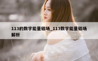 113 的数字能量磁场_113 数字能量磁场解析