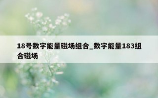 18 号数字能量磁场组合_数字能量 183 组合磁场