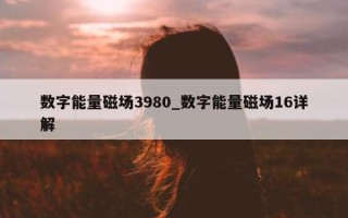 数字能量磁场3980_数字能量磁场16详解