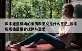 数字能量磁场的来历和意义是什么意思_数字磁场能量组合规律与意思