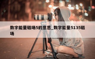 数字能量磁场 5 的意思_数字能量 5135 磁场