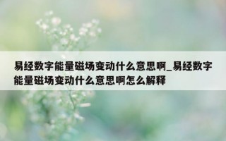 易经数字能量磁场变动什么意思啊_易经数字能量磁场变动什么意思啊怎么解释