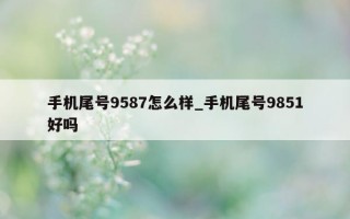 手机尾号 9587 怎么样_手机尾号 9851 好吗