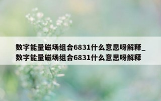 数字能量磁场组合 6831 什么意思呀解释_数字能量磁场组合 6831 什么意思呀解释