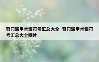 奇门遁甲术语符号汇总大全_奇门遁甲术语符号汇总大全图片