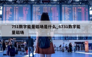 751 数字能量磁场是什么_6731 数字能量磁场