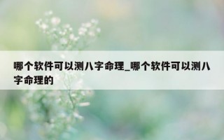 哪个软件可以测八字命理_哪个软件可以测八字命理的