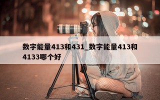 数字能量 413 和 431_数字能量 413 和 4133 哪个好