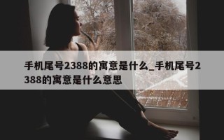 手机尾号 2388 的寓意是什么_手机尾号 2388 的寓意是什么意思