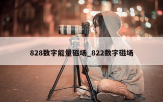 828 数字能量磁场_822 数字磁场