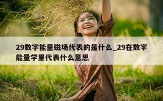 29 数字能量磁场代表的是什么_29 在数字能量学里代表什么意思