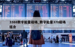 3388 数字能量磁场_数字能量 378 磁场组合