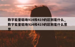 数字能量磁场 914 和 419 的区别是什么_数字能量磁场 914 和 419 的区别是什么意思