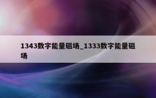 1343 数字能量磁场_1333 数字能量磁场