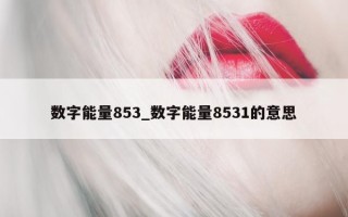 数字能量853_数字能量8531的意思