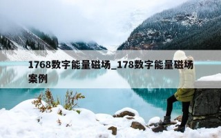 1768 数字能量磁场_178 数字能量磁场案例