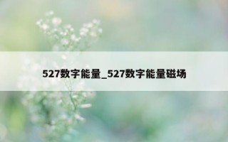 527 数字能量_527 数字能量磁场