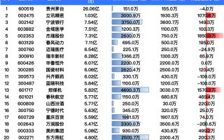 换手率 2000%！黑马诺德新生活混合基金经理周健胜买了什么