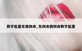 数字能量东西四命_东四命西四命数字能量